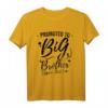 Big Brother Promoted To Big Brother 2023 - Süßes Retro-Vintage T-Shirt für den großen Bruder, perfekt für Schwangerschaftsankündigung & Baby-Geburt