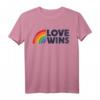 LGBTQ Love Wins Gay Pride LGBT Ally Rainbow Flag Vintage T-Shirt – Unterstütze Gleichheit, Liebe & Pride für die LGBT Community