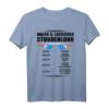Maler und Lackierer Stundenlohn - Lustiges T-Shirt für Maler, Meister & Handwerker | Geschenkidee für Weihnachten, Geburtstag & Vatertag